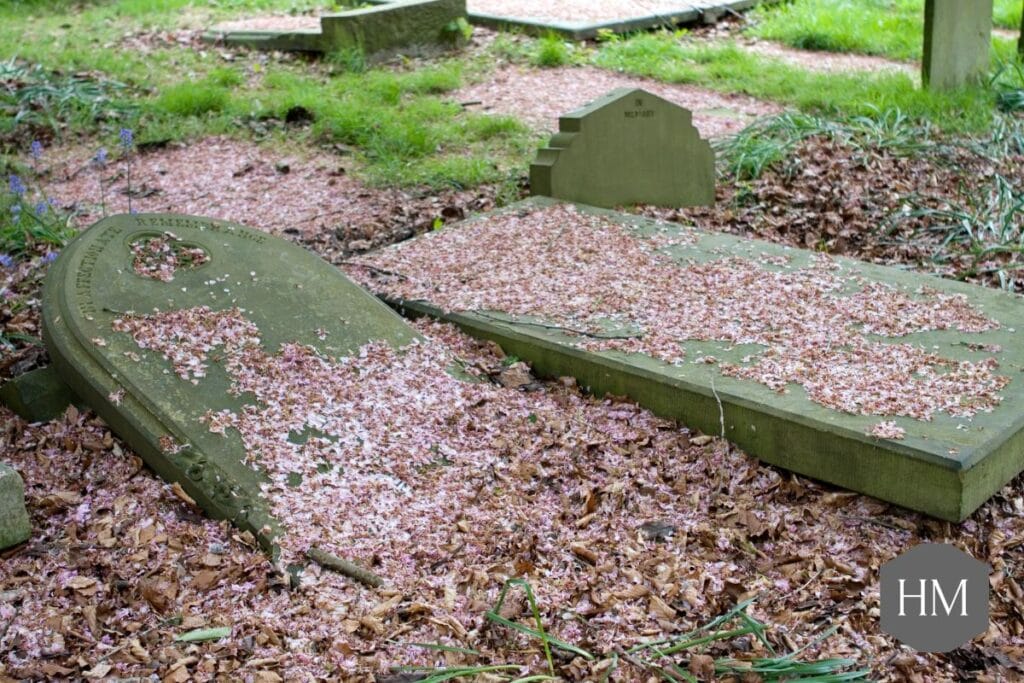 Old Gravestones in a churchyard covering whole grave covered in leaves
